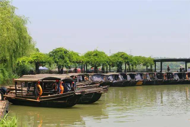 走進常熟沙家浜風景區,游濕地逛老街休閑度假好去處