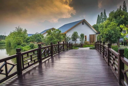 豐收季，鄉(xiāng)村游 常熟沙家浜，不止稻香魚肥